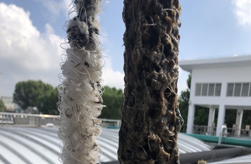 如何判斷辮帶式填料的掛膜情況呢？