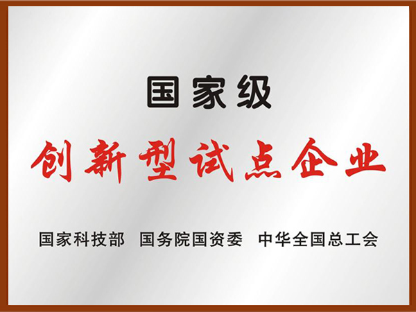 國(guó)家級(jí)創(chuàng)新試點(diǎn)企業(yè)